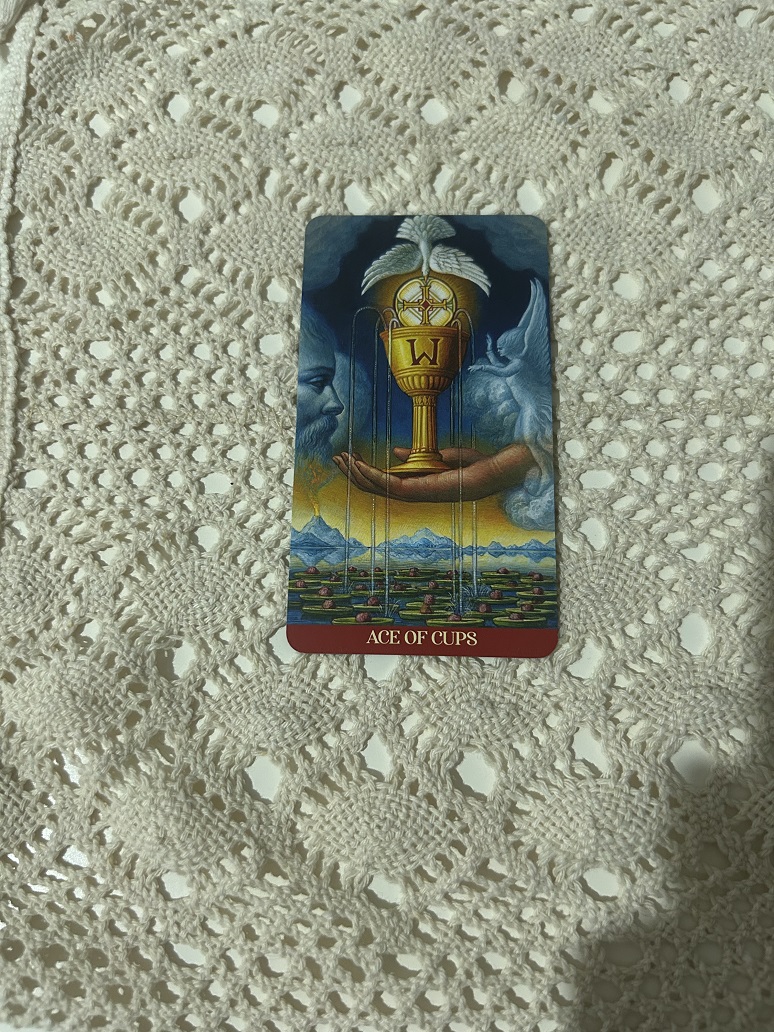 Ace of Cups Tarot Card Photo by Tarot Institute 2