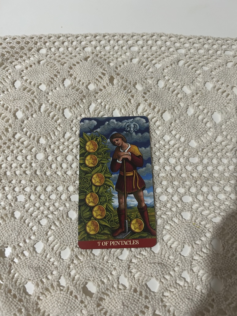 Seven of Pentacles Tarot Card Photo by Tarot Institute 2