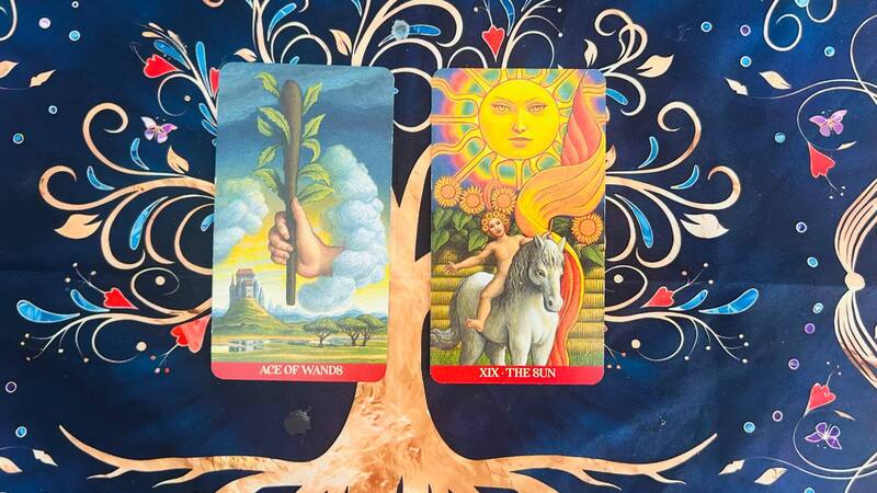 Ace of Wands and The Sun photo by Tarot Institute